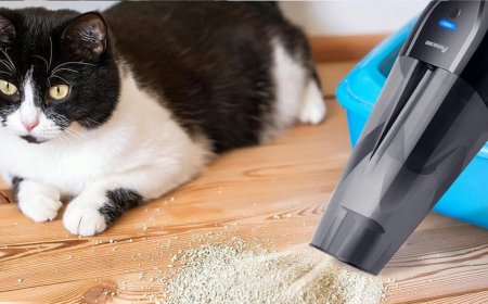 Thousands of shoppers are buying this $40 handheld vacuum at Amazon that's a 'game changer for quick cleanups'