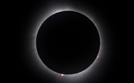 ​​During the awe of totality, scientists studied our planet’s reactions