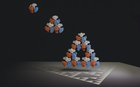 Scientists find a naturally occurring molecule that forms a fractal