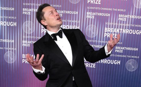 Elon Musk's biggest fans are downplaying the news of Tesla's largest layoff