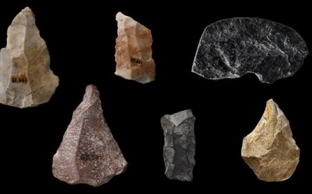 A puzzling mix of artifacts raises questions about Homo sapiens’ travels to China