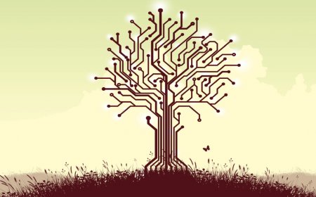 Here's what AI for sustainability actually looks like