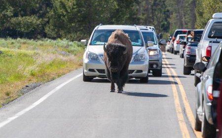 The National Park Service warns of this problem around a popular park