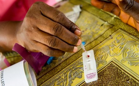 Malaria parasites can evade rapid tests, threatening eradication goals