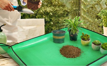 The no. 1 bestselling garden tool at Amazon that 'saves so much mess and cleanup time' only costs $9