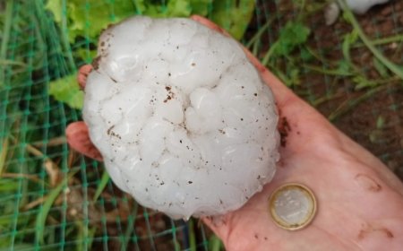 A ruinous hailstorm in Spain may have been supercharged by warming seas