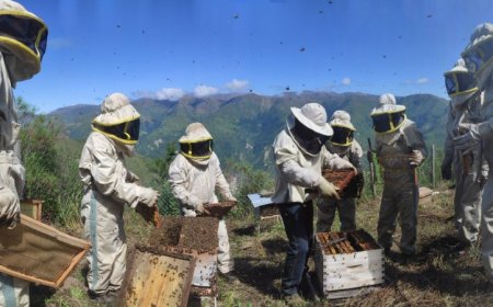 Ximena Velez-Liendo is saving Andean bears with honey