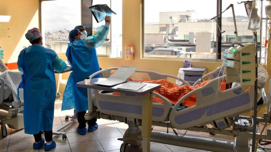 Immune cells’ intense reaction to the coronavirus may lead to pneumonia