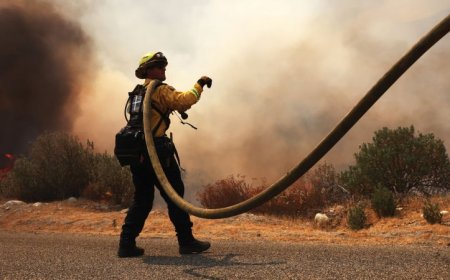 A new approach to fighting wildfires combines local knowledge and AI