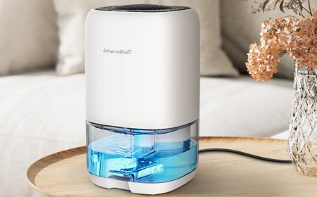 Thousands of shoppers are flocking to this dehumidifier that's on sale at Amazon for only $39