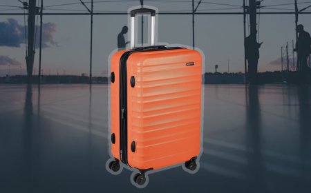 A viral TikTok video on baggage is actually completely wrong