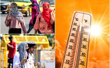 Severe Heatwave in May: IMD Issues Warning To THESE States, Orange Alert For Heavy Rainfall in NE | Check Forecast