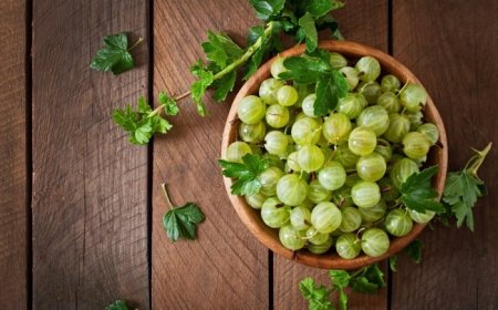 Should You Eat Amla in Summers? All You Need to Know About Indian Gooseberry