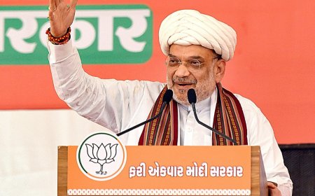 CAA Applications Have Started Coming, Process Will Commence This Month: Amit Shah