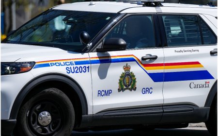 3-Month-Old Grandchild, Indian Couple Brutally Killed Amid Police Chase In Canada