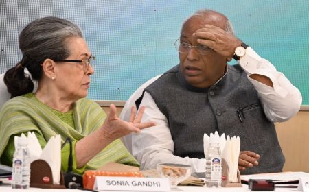 Puri Lok Sabha Polls: Congress Names Jay Narayan Patnaik as Candidate After Sucharita Mohanty Pulls Out Over Fund