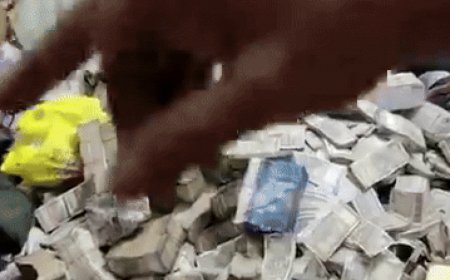 Mountain Of Cash Recovered During Raid by ED On House Help Of Jharkhand Minister’s Aide – Watch