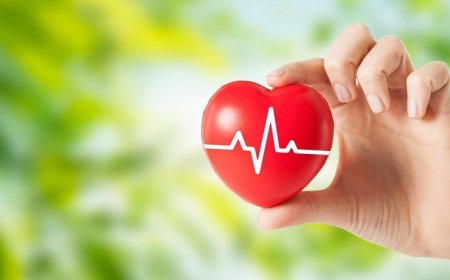 Heart Health Tips: 12 Proactive Steps to Reduce The Risk of Cardiovascular Diseases