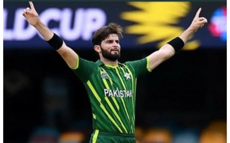 ICC Men’s Player of The Month: Shaheen Shah Afridi, Gerhard Erasmus, Muhammed Waseem Shortlisted For April