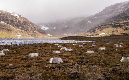 As the Arctic tundra warms, soil microbes likely will ramp up CO2 production