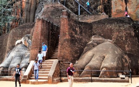 Good New Travellers! Sri Lanka Extends Visa-Free Entry For Indians; Check Requirements, Visa Fees