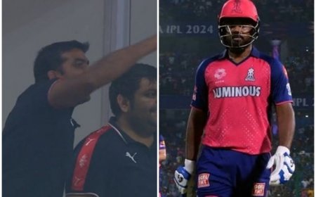 Parth Jindal’s ANIMATED Send-Off to Sanju Samson After Controversial Catch During DC vs RR IPL 2024 Match; Video Goes VIRAL | WATCH