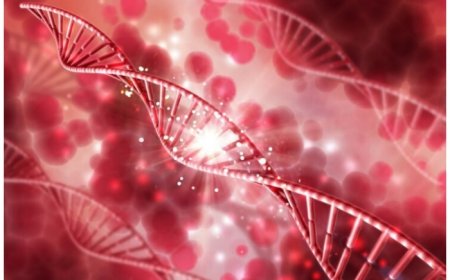 World Thalassemia Day: 5 Must-Know Dietary Tips to Maintain Your Blood Platelet Count