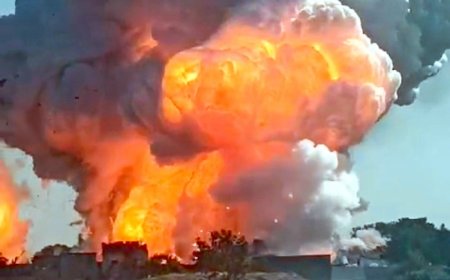 8 Dead And 3 Critically Injured After Blast In Fireworks Factory In Tamil Nadu