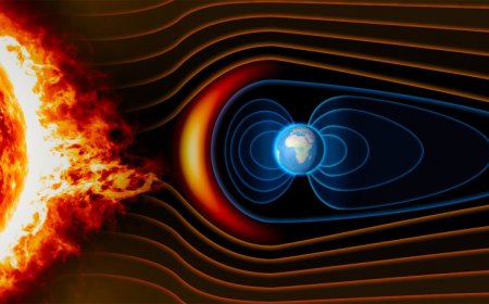 A weaker magnetic field may have paved the way for marine life to go big
