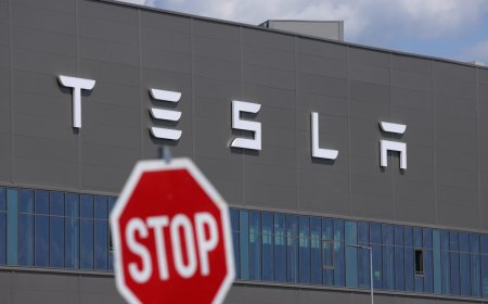 Climate activists target Tesla's German plant in latest actions
