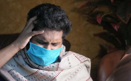 Swine Flu Outbreak: What Causes H1N1 Infection? Signs, Symptoms And Proactive Measures to Stay Safe From Influenza Virus