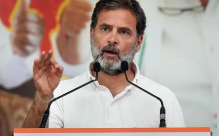 Lok Sabha Elections 2024: ‘Congress Will Do ‘X-ray’ of Country Through Caste Census’, Says Rahul Gandhi