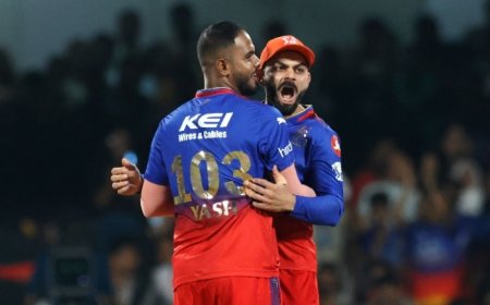 RCB Vs DC, IPL 2024: Rajat Patidar Fifty, Gritty Bowlers Keep Royal Challengers Bengaluru In Playoff Race