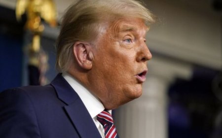 Donald Trump Slams Joe Biden Over Pro-Palestine Protests At American Universities