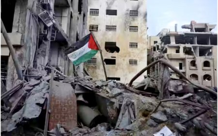 Indian UN Staff Member Killed In Gaza, Making It 1st International Casualty In Israel-Hamas Conflict