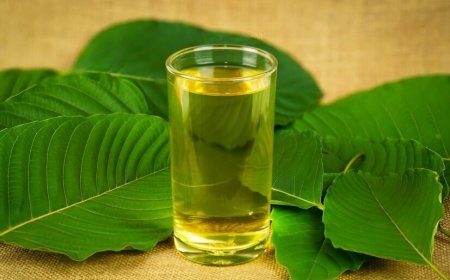 Neem Water Benefits: What Happens When You Begin Your Day With a Glass of Ayurvedic Water?