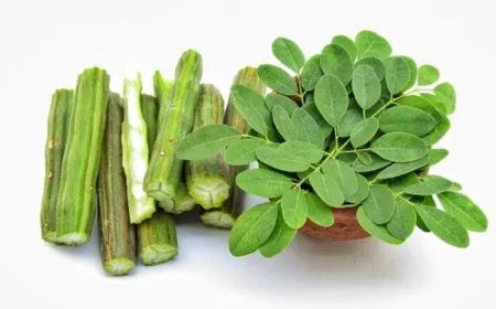 Drumsticks Benefits: 7 Reasons Moringa Can Be a Healthy Addition to Summer Diet