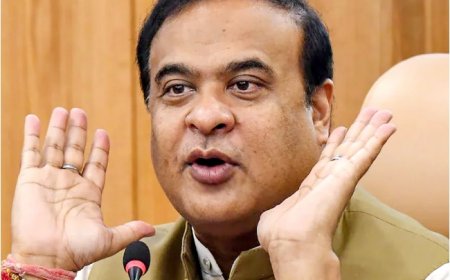 Why BJP Needs 400 Seats in Lok Sabha? Assam CM Says For Building Temples In Mathura, Varanasi; Take Back PoK