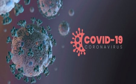 Covid FLiRT Cases Rise in India: Who is More at Risk? 6 Tips to Boost Immunity Against New Variant