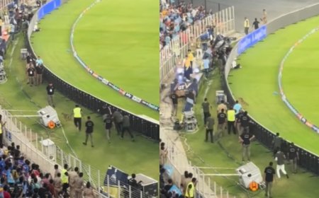 IPL 2024: Gujarat Security Crew Brutally Beat A Dog During GT vs MI Clash At Narendra Modi Stadium | WATCH Inhumane VIDEO