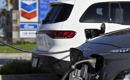 Essential automotive company files to close down all operations