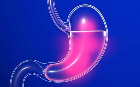 Burning the stomach lining reduces the ‘hunger hormone’ and cuts weight 