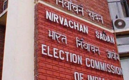 Lok Sabha Election 2024: Inducements Worth Rs 8,889 Crore Seized So Far; Nearly 45 Percent Of Seizures Are Drugs, EC Reveals