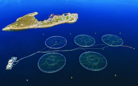 ‘The High Seas’ tells of the many ways humans are laying claim to the ocean