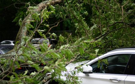 US Car Crash: 3 Indian-Origin Students Killed, 2 Injured As Driver Lost Control Due To Overspeeding