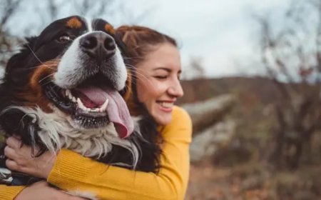 6 Simple Ways To Keep Your Dogs Physically and Mentally Active