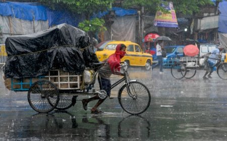 Tamil Nadu Weather Update: IMD Issues Yellow Alert For 25 Districts, Heavy Rains Predicted in Chennai