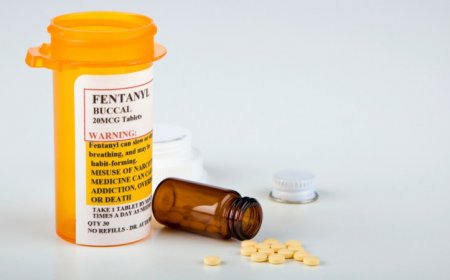 Two distinct neural pathways may make opioids like fentanyl so addictive