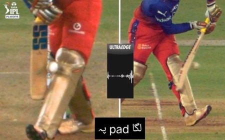 Dinesh Karthik SURVIVES Controversial LBW During IPL 2024 Eliminator | WATCH VIDEO