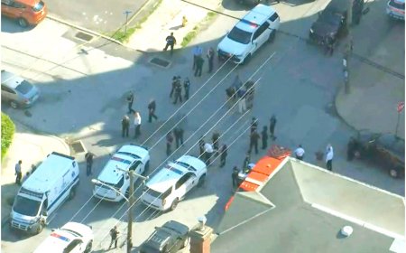 US Shooting: 2 Dead, Several Injured In Pennsylvania, Suspect Arrested